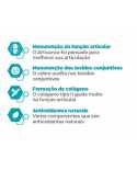 Artivance 90 Cápsulas - Suplemento para Saúde Articular New Nutrition
