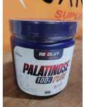 Palatinose 300g – Absolut Nutrition